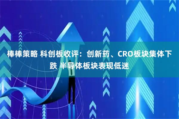 棒棒策略 科创板收评：创新药、CRO板块集体下跌 半导体板块表现低迷
