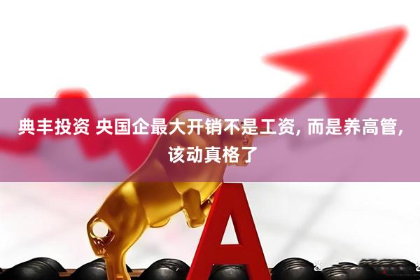 典丰投资 央国企最大开销不是工资, 而是养高管, 该动真格了